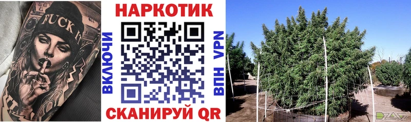 APVP Краснослободск