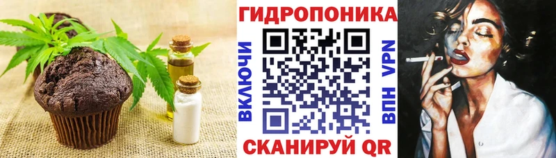 купить закладку  Краснослободск  Canna-Cookies марихуана 
