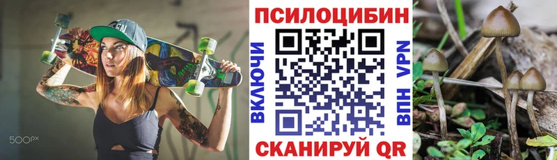 купить закладку  Краснослободск  мега маркетплейс  Галлюциногенные грибы ЛСД 